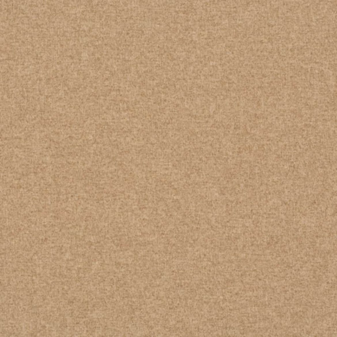 Picture of 51879-21